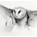 owl art drawing black and white pencil reproduction print