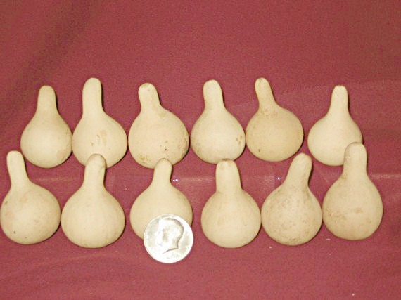 Gourds 12 Tiny Tennesse Spinner Gourds