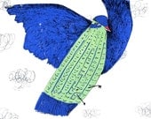 Bright blue bird