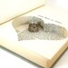 Wedding - Vintage Hollow Book Safe with Heart - Three Plays - christmasinjuly