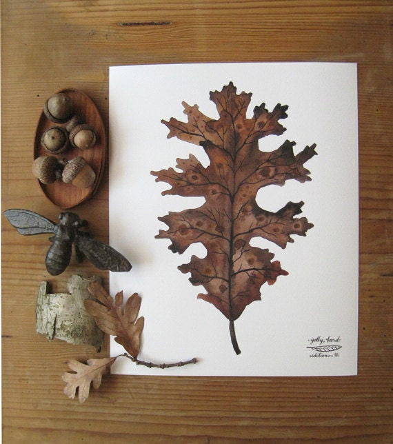 Oak Leaf botanical archival print watercolor reproduction
