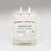 soy candle - FIR and BLUE SAGE
