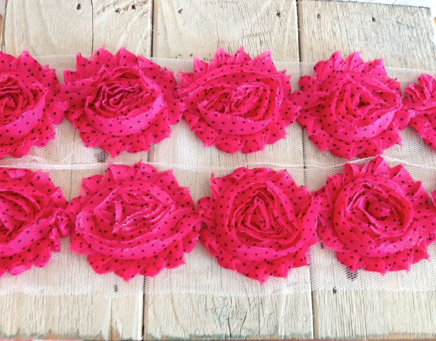 Shabby Rose Trim HOT PINK/BLACK dot -2 1/2 inches-1 yard