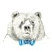 Mister Bear - Bear Illustration - Bear With Bow Tie