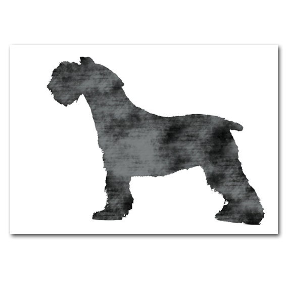 grey color dog