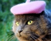 Pink French Beret for Cats or Dogs - Hand Felted Wool French Beret