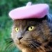 Pink French Beret for Cats or Dogs - Hand Felted Wool French Beret