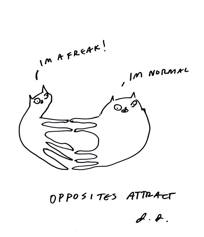 Opposites Attract- Cat Print