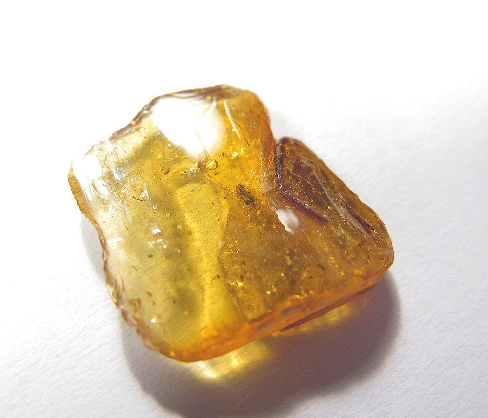 Inclusion (insect fossil) in the Baltic amber. EM235