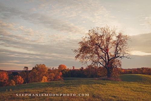 Landscape Photography Artists