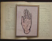 3X5 Palmistry card