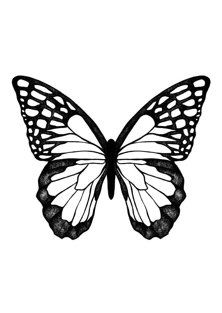 Butterfly, 50x70 cm (19,7x27,5 inch)