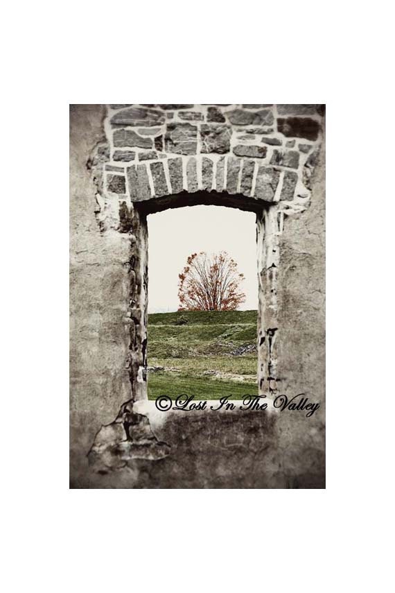 Fall Tree Photo Grey Orange Green Surreal Fort Wall 5x7 Fine Art Photograph - LostInTheValleyPhoto