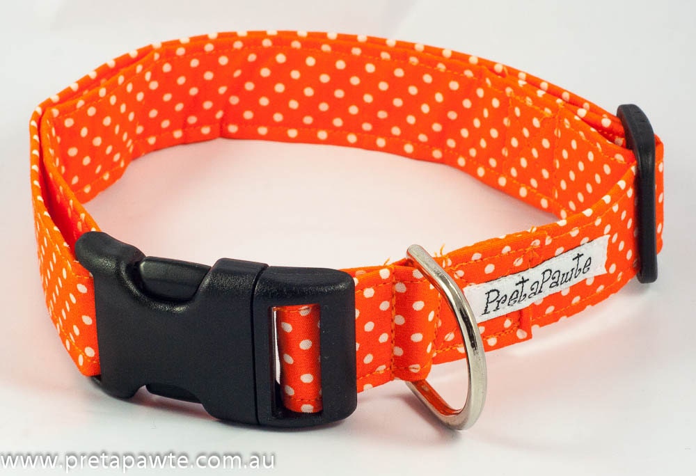 Dog Collar: Orange and White Polka Dot Dog Collar