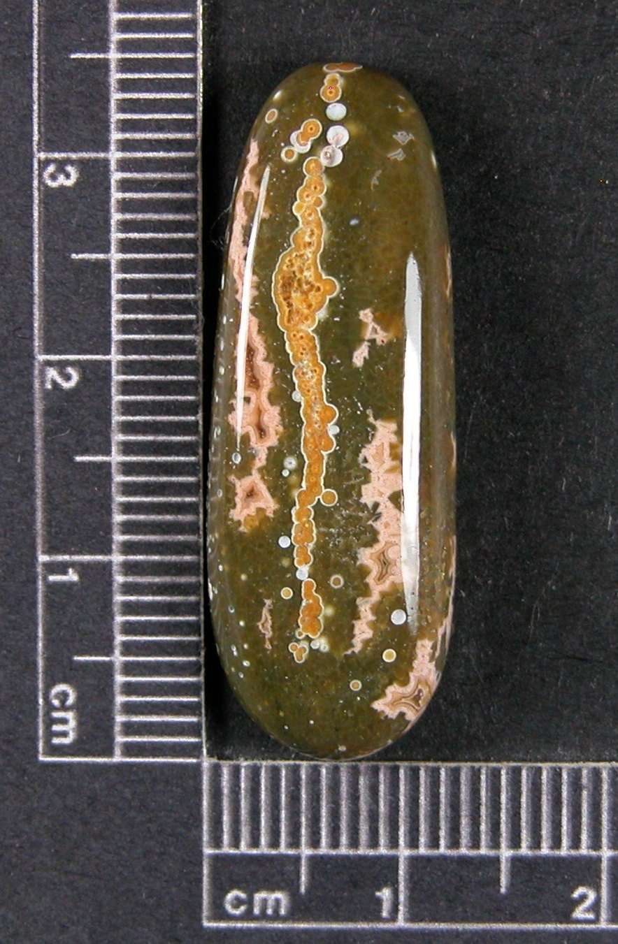 Ocean Jasper Cabochon Hand Cut JO233