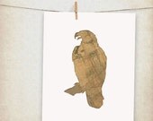 american eagle map bird - 10x8" print