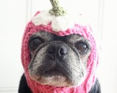 Dog Hat - Upside Down Daisy Dog Hat