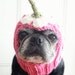 Dog Hat - Upside Down Daisy Dog Hat