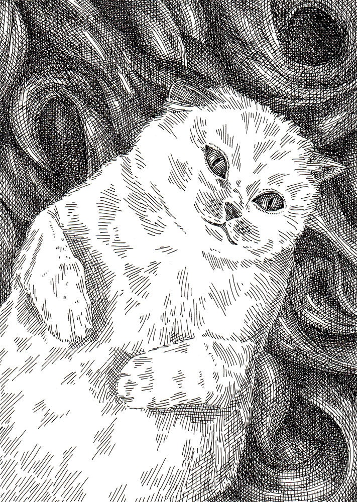 Meowby Dick - 8" x 10" Pen and Ink Print