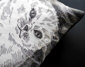 Meowby Dick Stuffed Illustrated Pillowcase