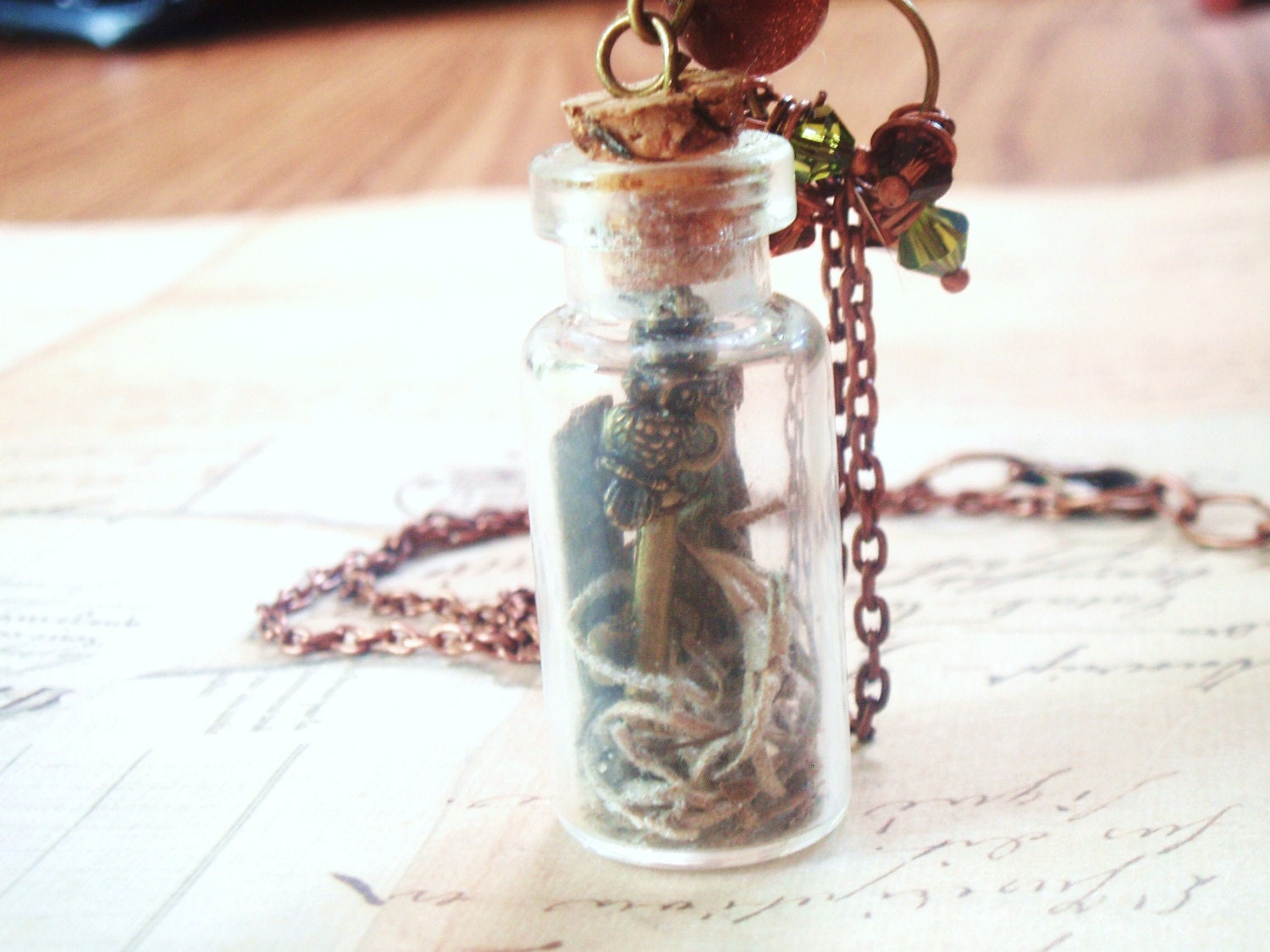 The Owl's Secret -  Bottle Necklace, Vial Necklace, Owl Necklace, Bird Necklace, Copper Necklace