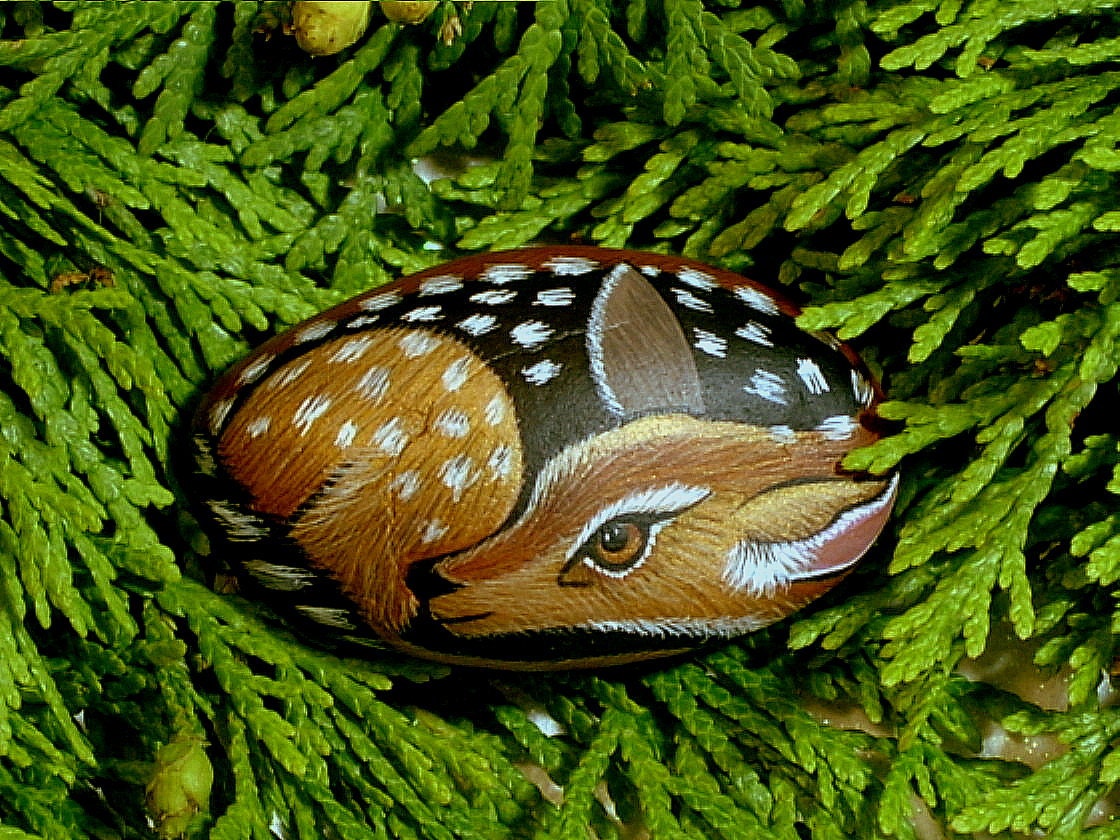 Deer, Bambi, whitetail fawn, elk, donate, woodland doe, table top forest terrarium, dish garden, moss terrariums, hand painted rock