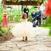 Champagne Tutu Dress - 18-24m, 2t, 3t, or 4t