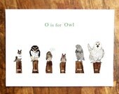 O is for Owl