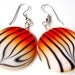 Tiger earrings, animal print jewelry round white orange and black tiger striped shell earrings, silver french hooks