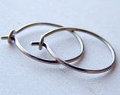small titanium or niobium hoop earrings - handmade by variya on etsy