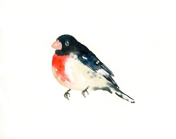 ROSE breasted GROSBEAK by DIMDI Original watercolor painting 10X8inch