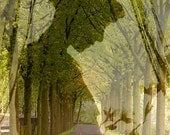 Forest Silhouette Photo "Stand Like a Dead Tree" Ghostly Fairy Tale Photograph Print - Green Woodland - Vintage Silhouette Ghostly Lady