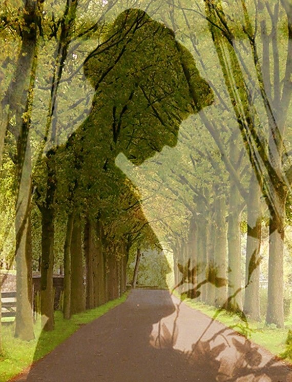Forest Silhouette Photo "Stand Like a Dead Tree" Ghostly Fairy Tale Photograph Print - Green Woodland - Vintage Silhouette Ghostly Lady