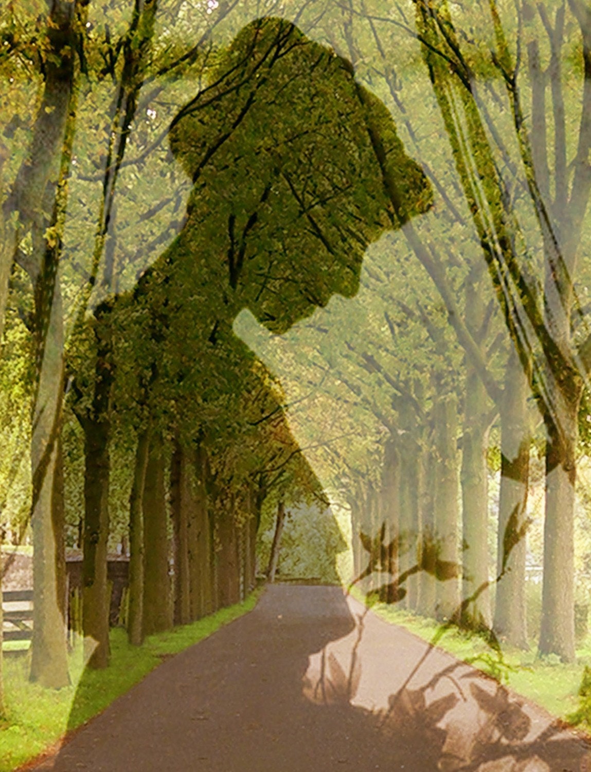 Forest Silhouette Photo "Stand Like a Dead Tree" Ghostly Fairy Tale Photograph Print - Green Woodland - Vintage Silhouette Ghostly Lady