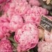 Paris Photography - Paris Peonies in Parisian Flower Market, France, French Fine Art Travel Photo, Wall Art, Home Decor