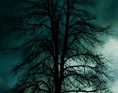 Blue storm 8x10 Fine Art Photography Print