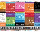 Kids French & English Number and Color Chart Placemat