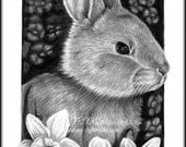 Original Artwork Spring Rabbit Animal Drawing Charcoal Graphite Signed