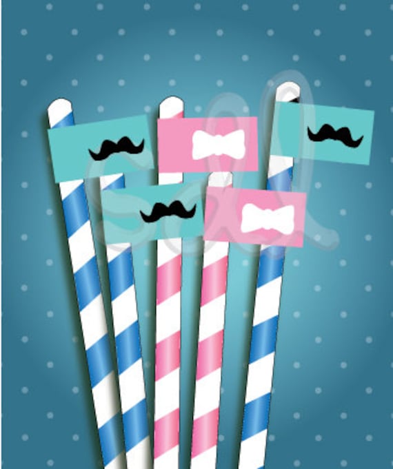 PRINTABLE PDF Gender Reveal Straw/ Toothpick Flags Il_570xn