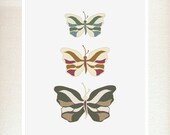 Butterflies Summertime Calming (Summery, Flying, Fly away, Minimalistic wall art, Baby butterfly)