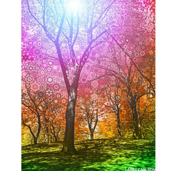 The.Wonder.Tree...16x20 matted fine art print / nature photograph