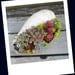 Sea Shell Garden Planter - Sweet Garden Gift ,  Easy to care for, perfect for desk.