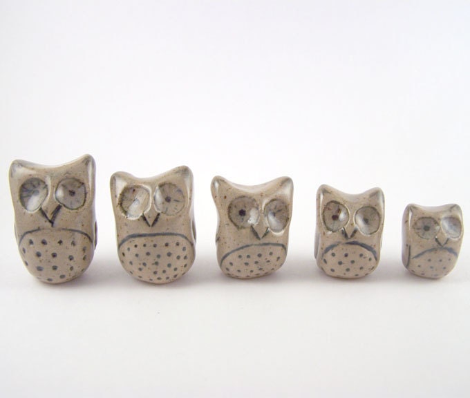 Owl Family of Five