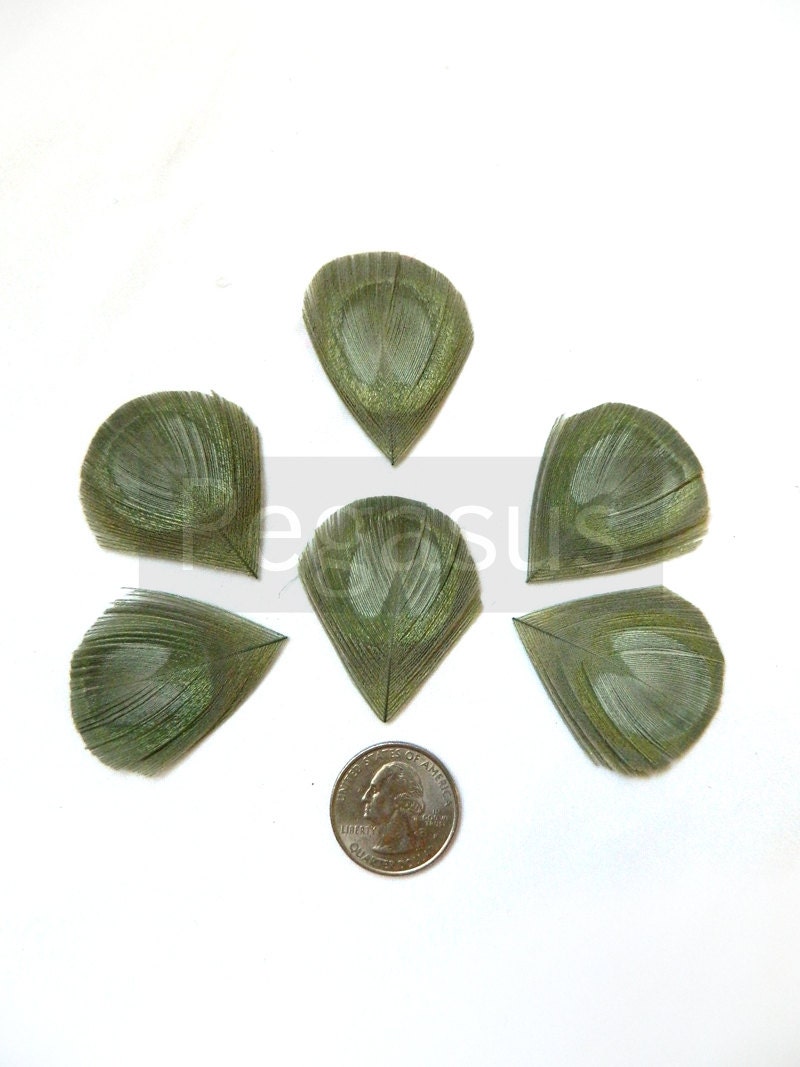 SAGE Green Trimmed Peacock Feather Eyes (12 PIECES)(Large) For appliques, wedding invitations, Shoe clips, earrings, and fascinators