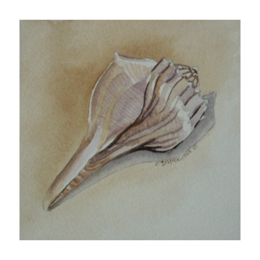 Shell 3 - Limited Edition Giclee