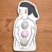Mademoiselle Fabric Covered Buttons