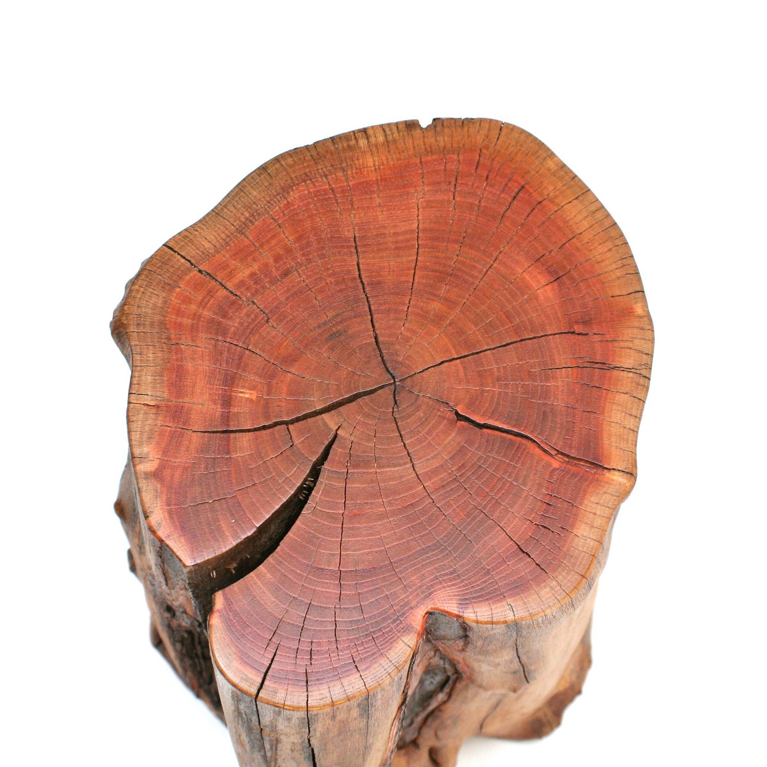 Tamarisk Stump Table