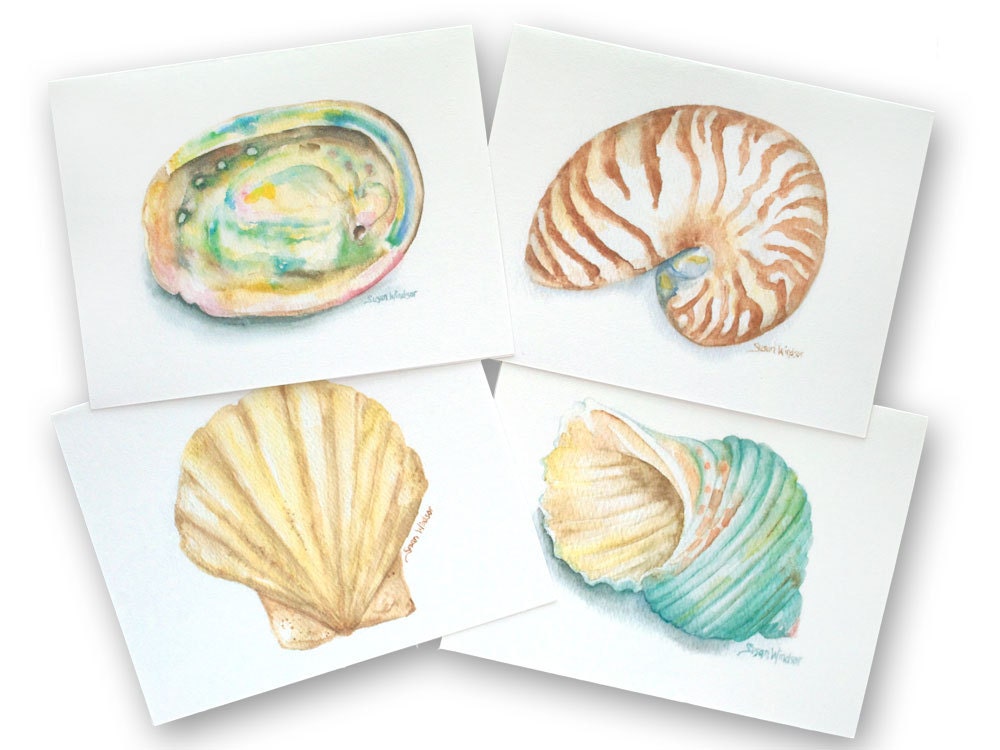 Watercolor Seashell Note Cards Set of 8