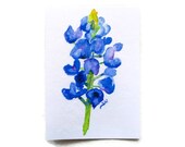 Bluebonnet Watercolor ACEO Fine Art Print