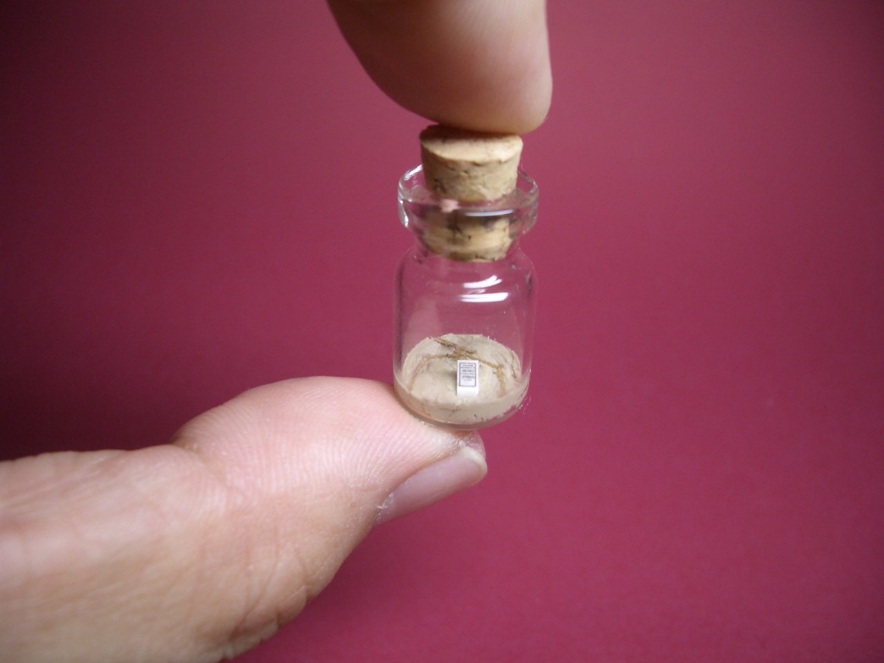 A tiny fossilized Pteranodon in a tiny bottle